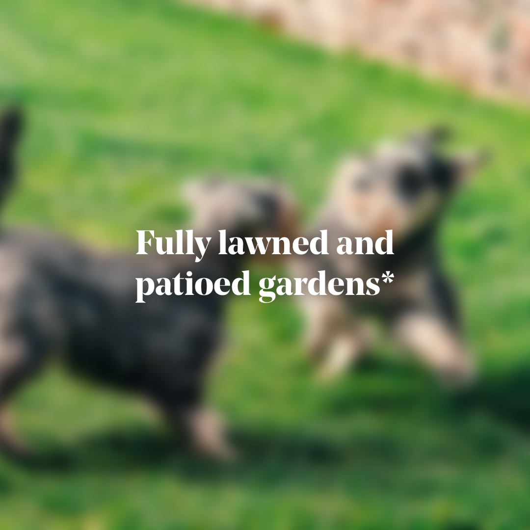 The Freedom Package The Boundary Final Assets-05